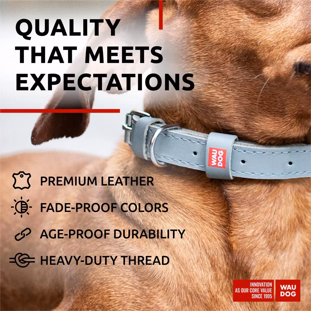 Collar Waudog Lærhalsbånd Grå