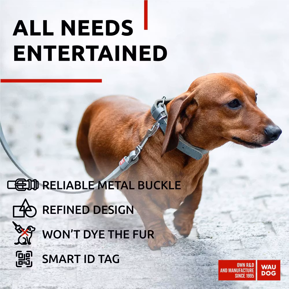 Collar Waudog Lærhalsbånd Grå