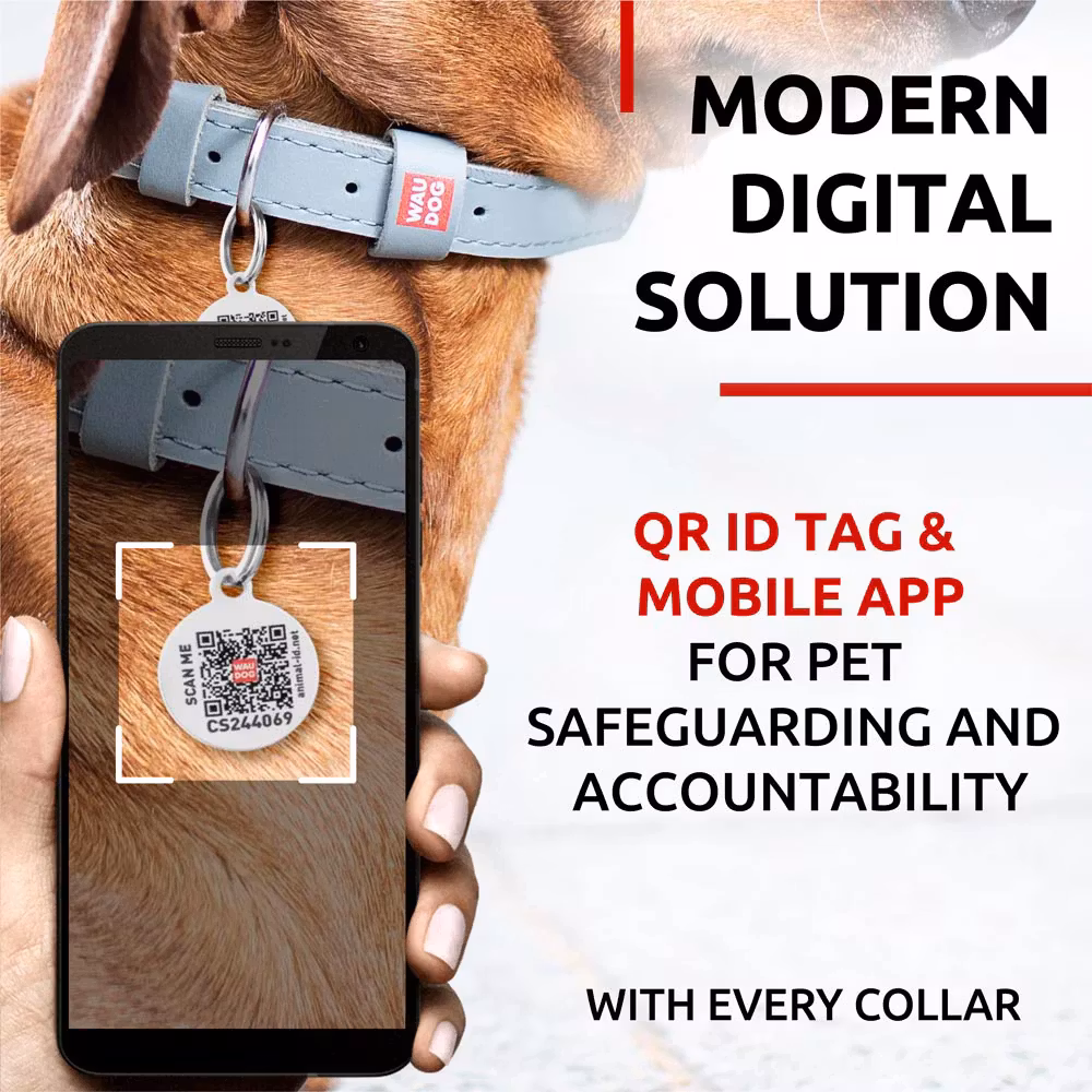 Collar Waudog Lærhalsbånd Grå