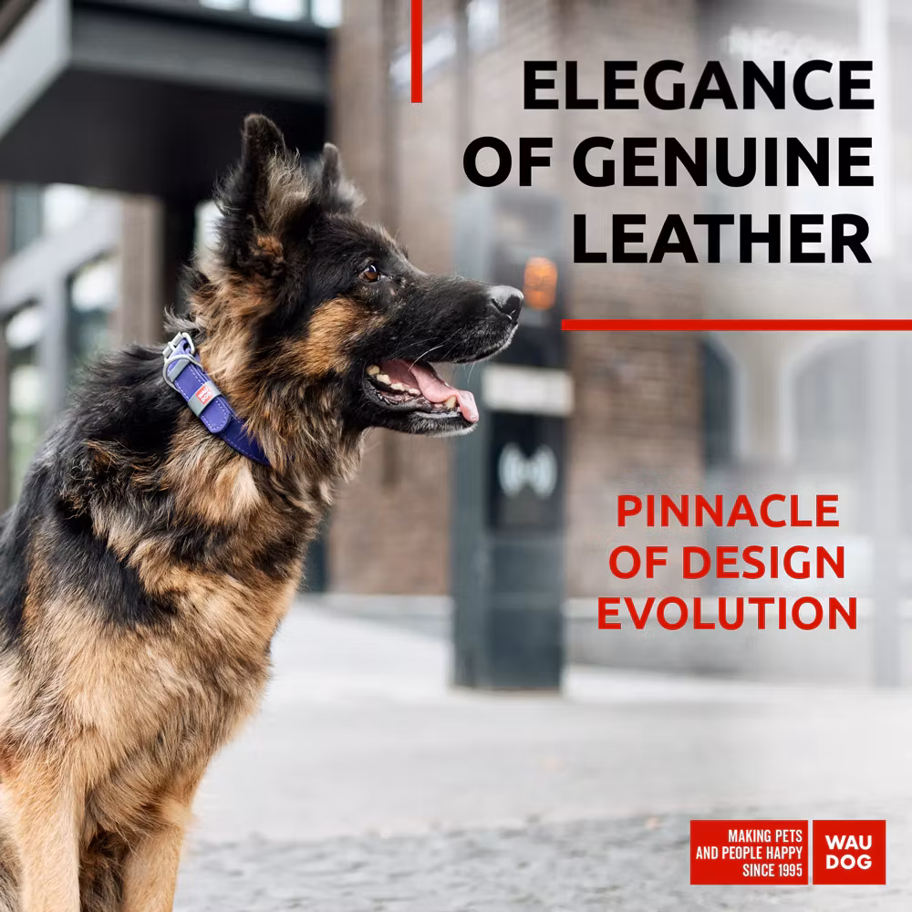 Collar Waudog Lærhalsbånd Lilla