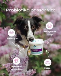 ND Probiotica 160g