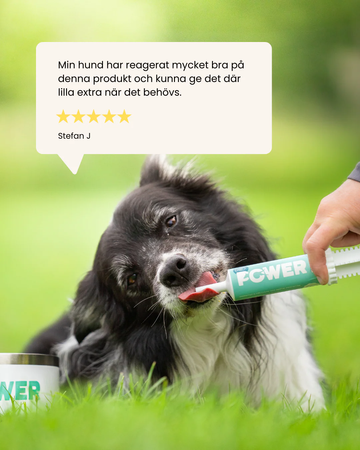 ND Power med smak av laks 60g/60ml