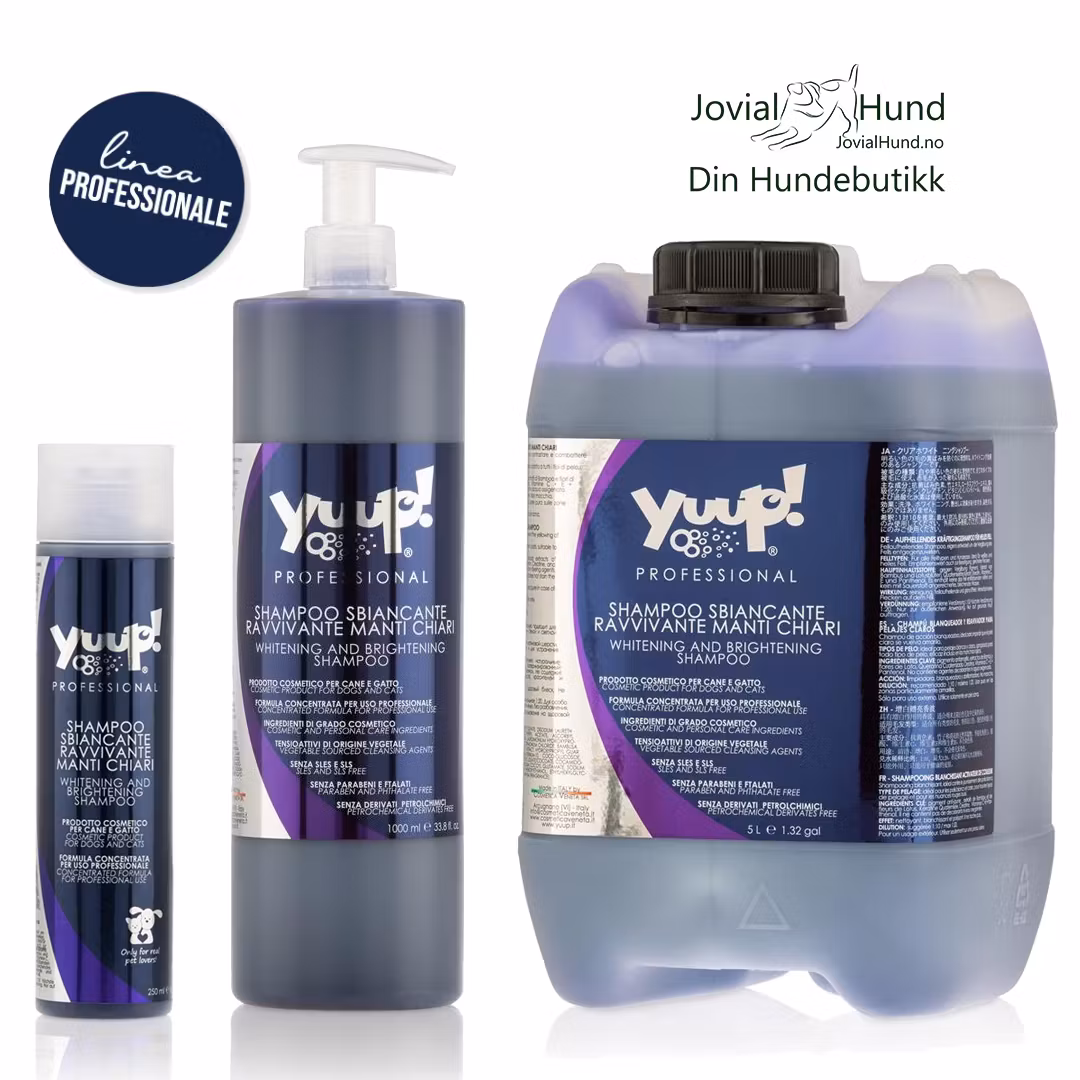 Yuup! Pro whitening and brightening shampoo 250 ML, 1L & 5L