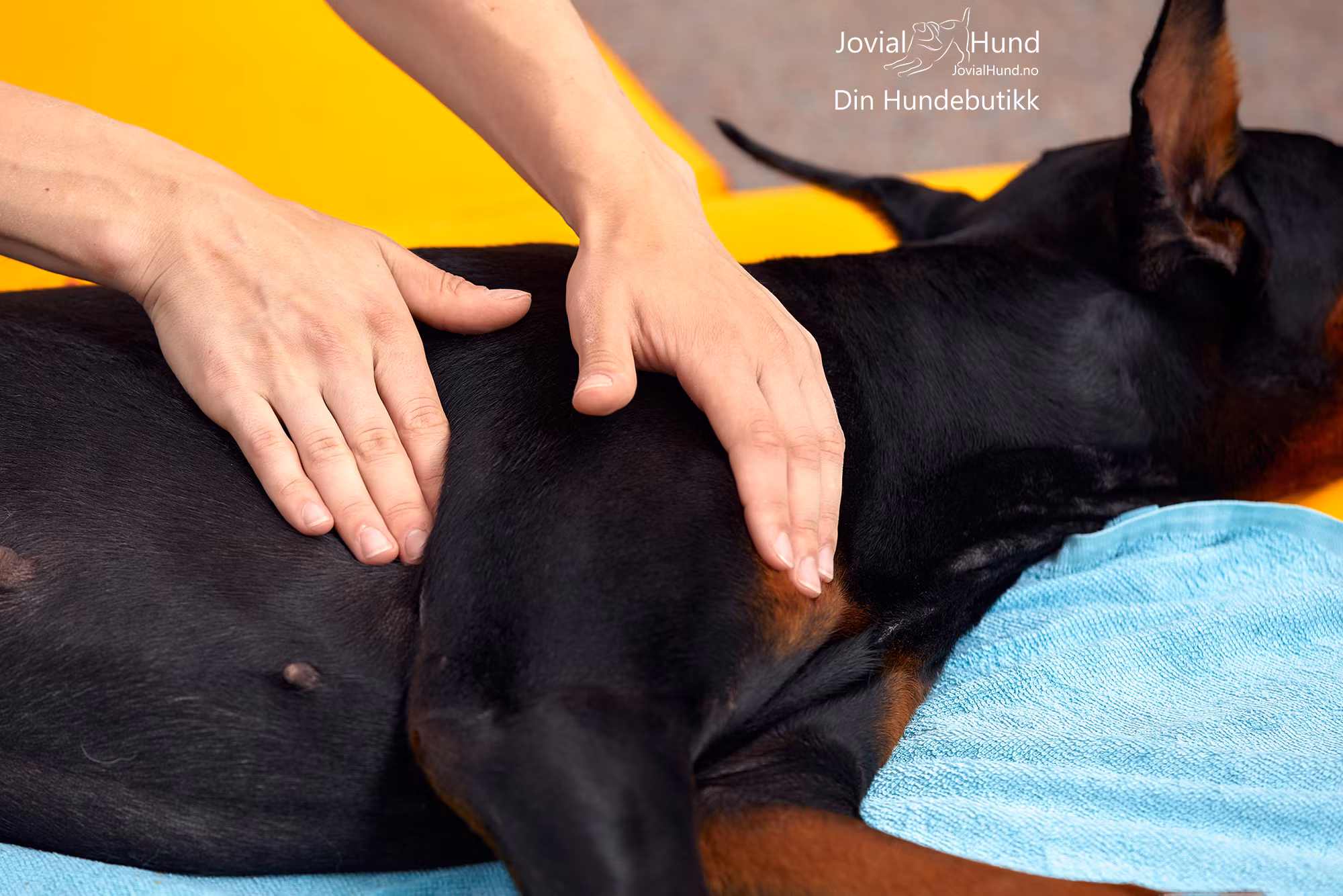 NEO Hundemassasje Restituerende 125 ml