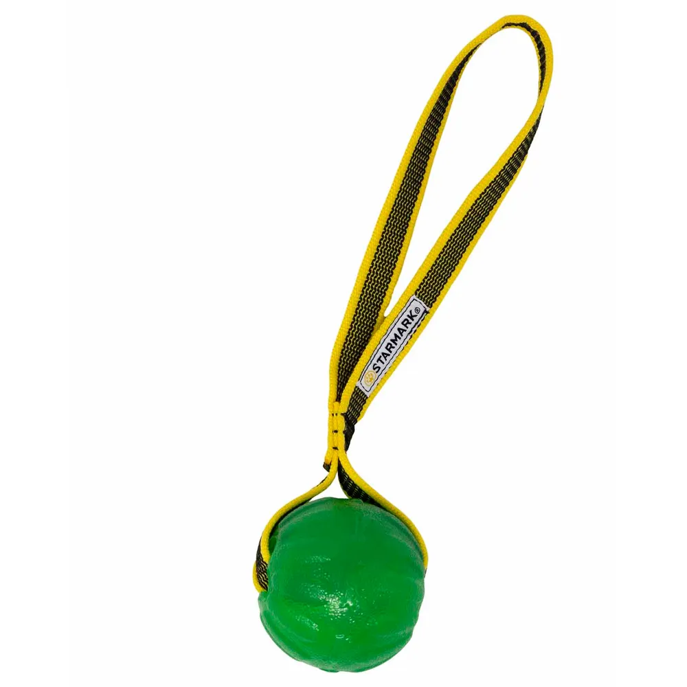 Starmark Gripcord Chew Ball Loop M 6,5x7x32cm