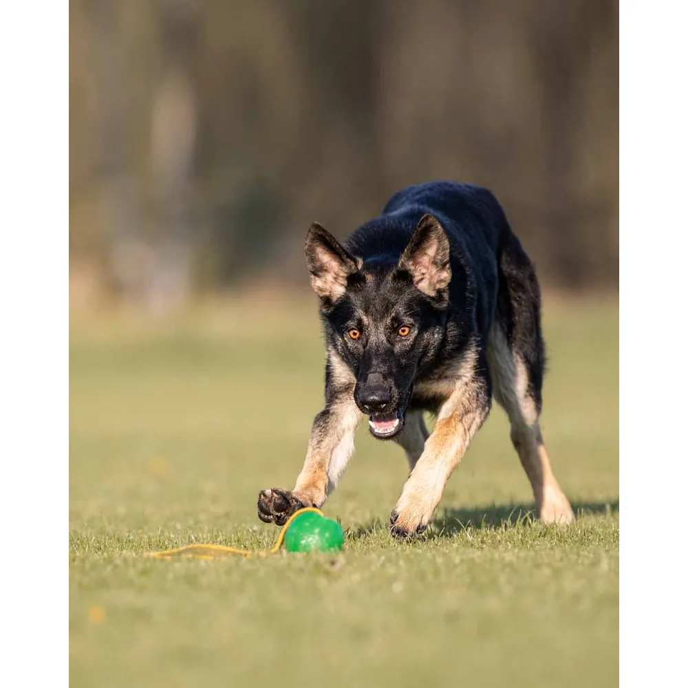 Starmark Gripcord Chew Ball Loop M 6,5x7x32cm