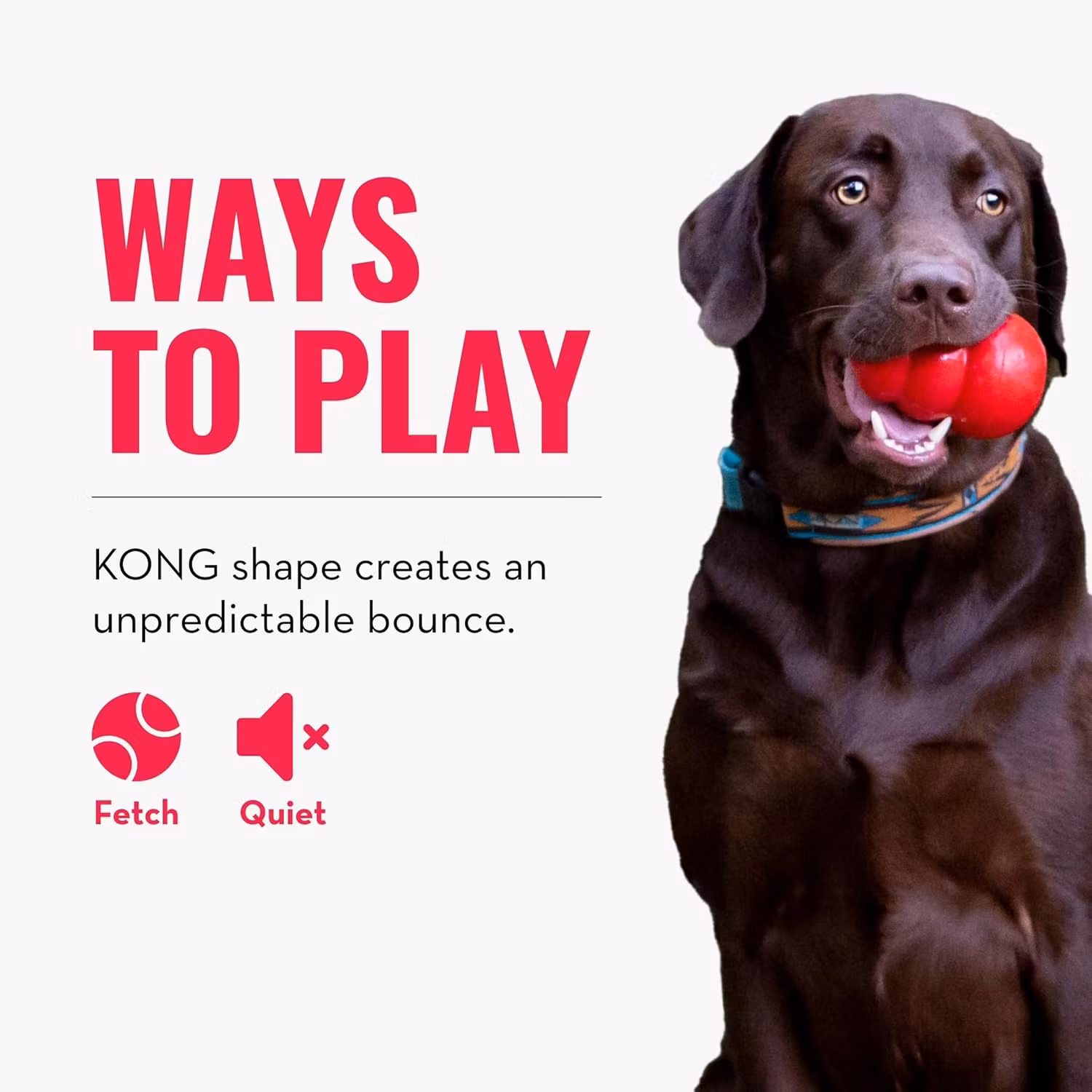KONG Bounzer M + L