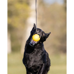 Starmark Gripcord Durafoam Ball Long M 7x7x60cm