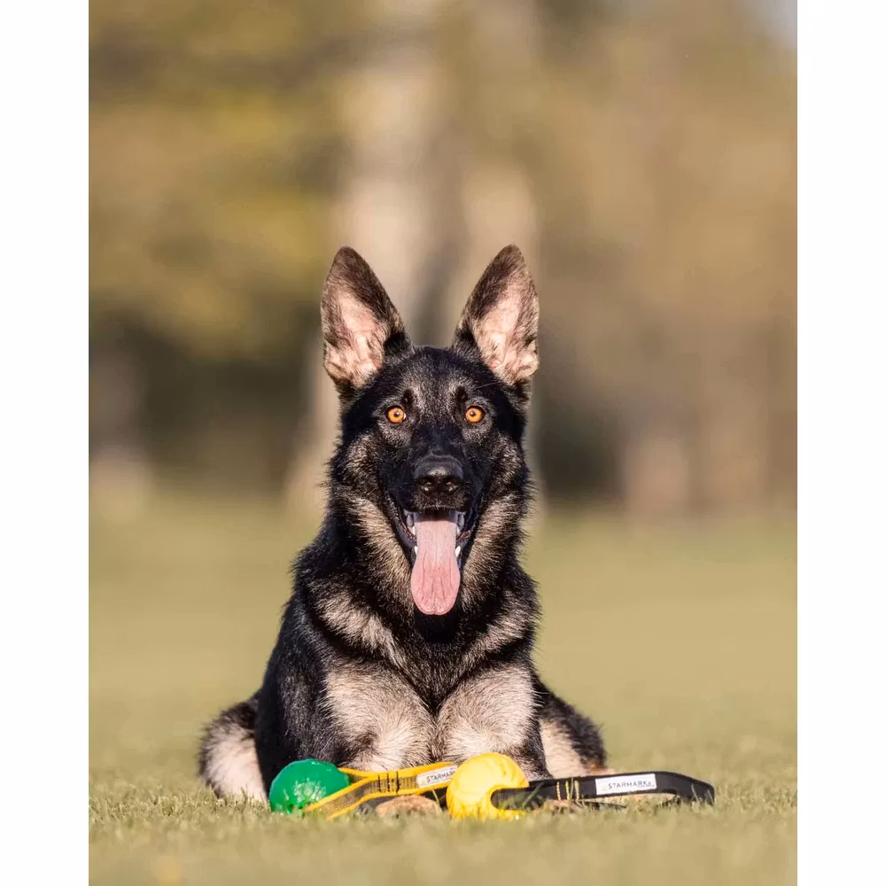 Starmark Gripcord Chew Ball Long M 6,5x7x60,5cm
