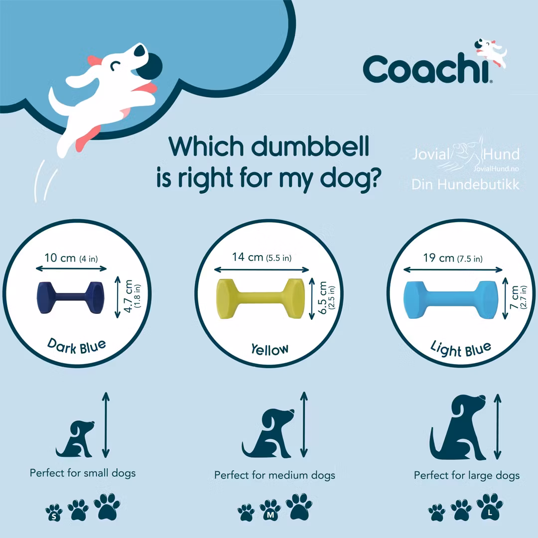 Coachi Training Dumbbell - Nylonapport