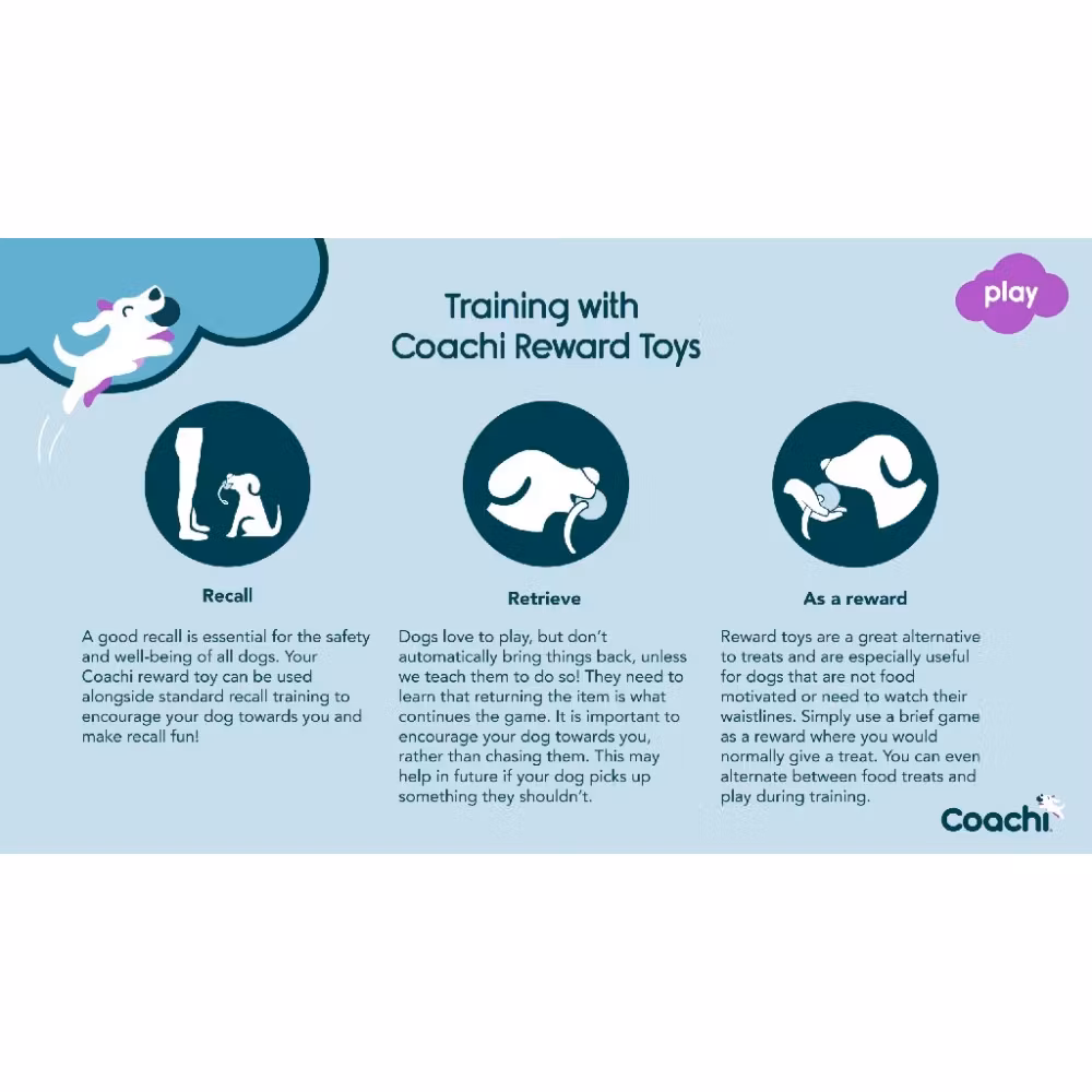 Coachi Training Dumbbell - Nylonapport