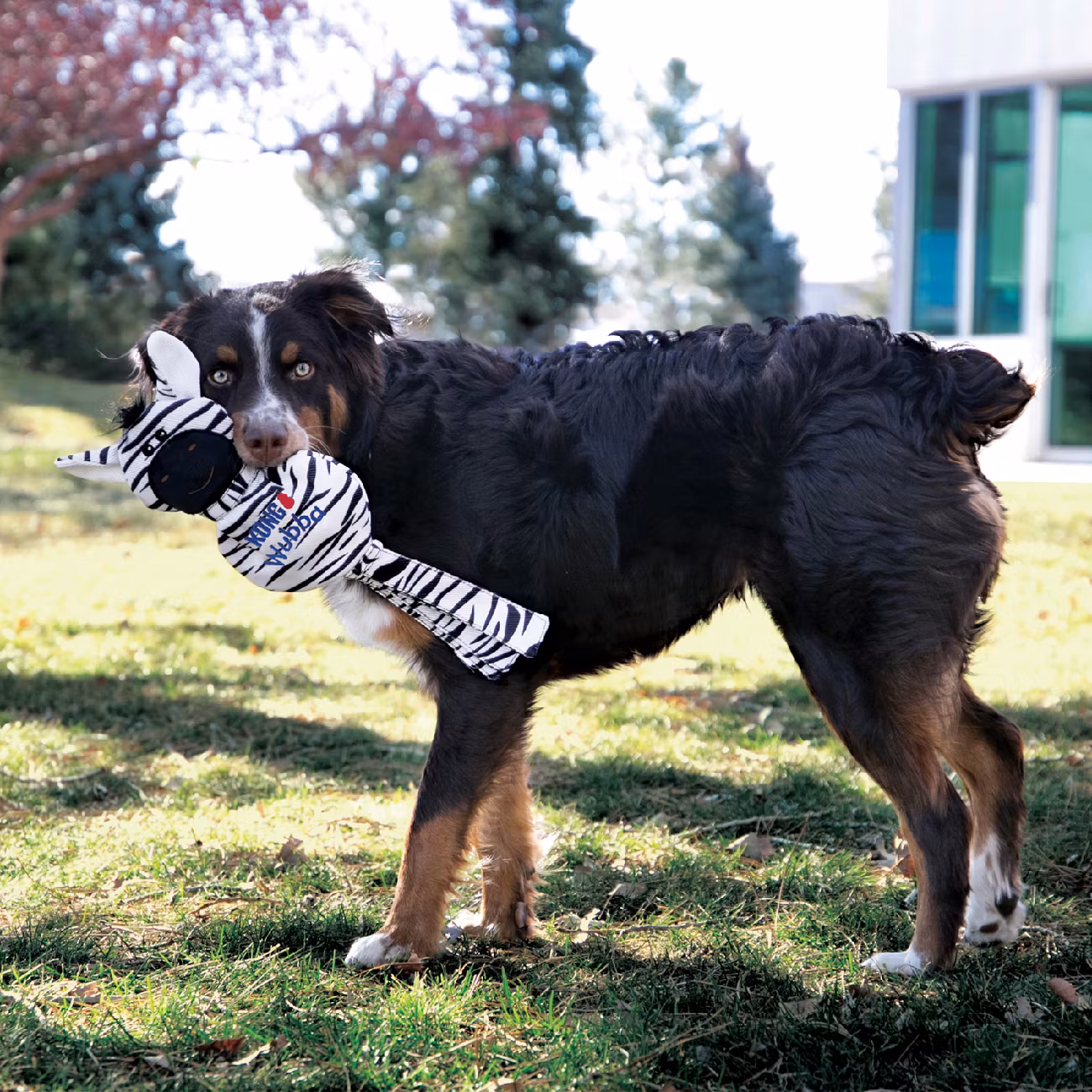 KONG Wubba No Stuff Zebra