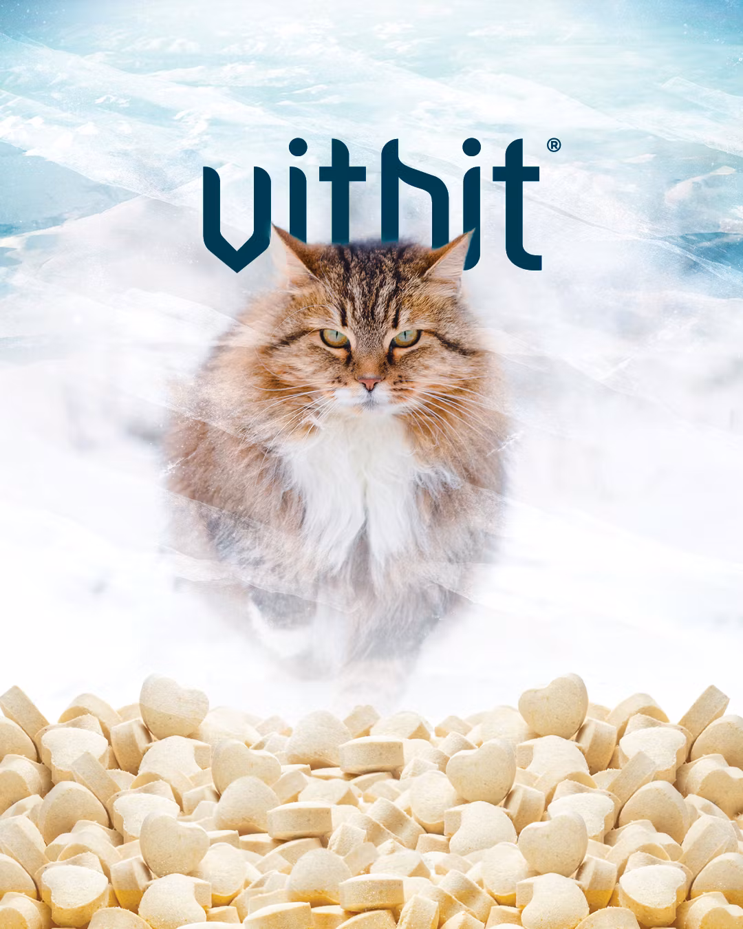 Vitbit Hearts 80g 100% Naturlig Tørket Fisk