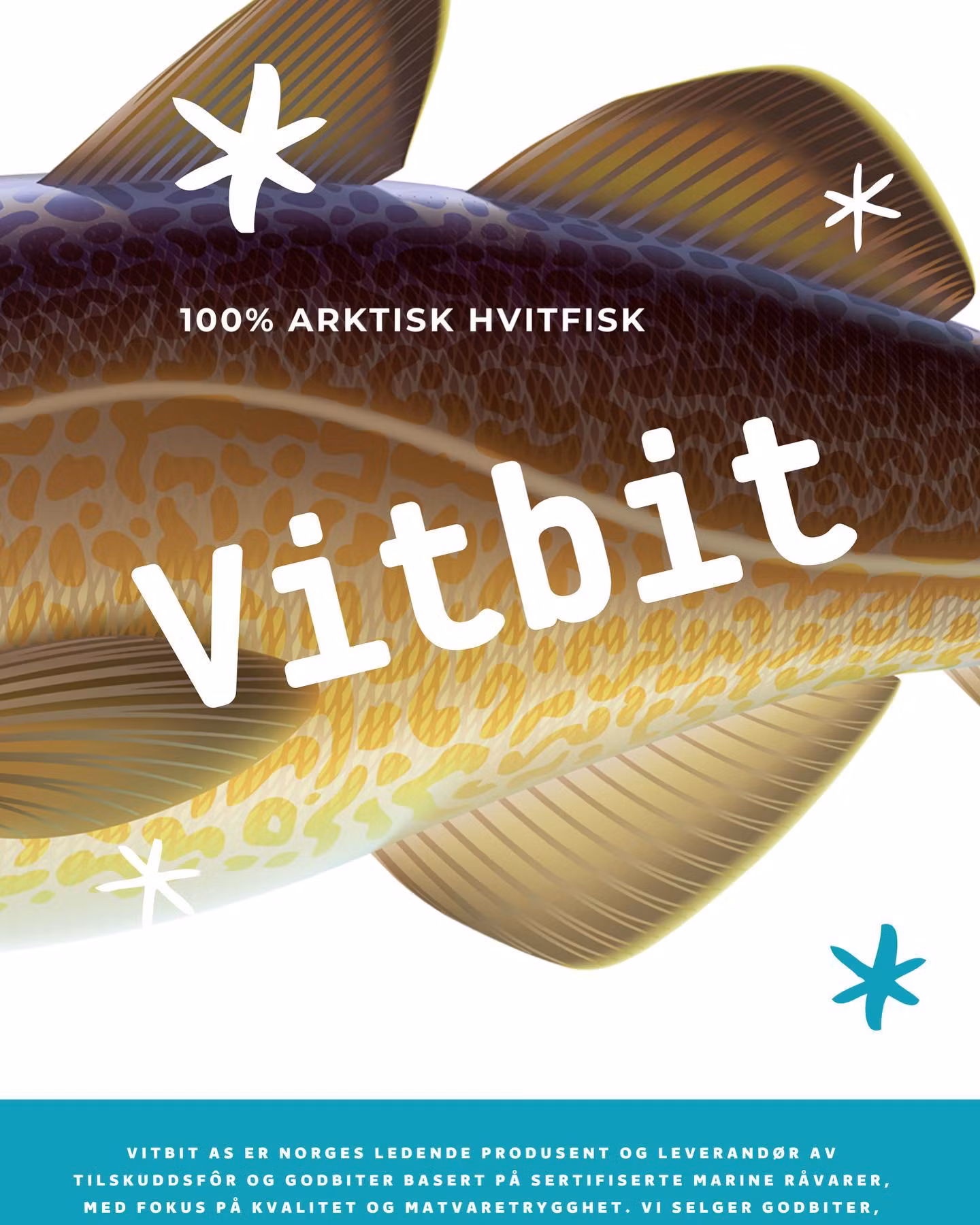 VITBIT PURE ARCTIC 300ml