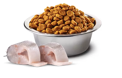 Farmina White Sea Bass Spirulina & Fennel Adult Med/Max 7 Kg