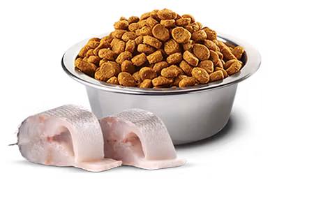 Farmina White Sea Bass Spirulina & Fennel Adult Med/Max 7 Kg