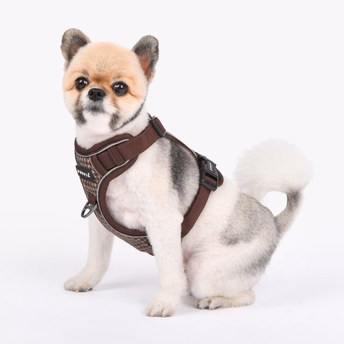 Puppia Conall Dog Harness H Brown/Brun