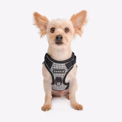 Puppia Conall Dog Harness H Sort/Black