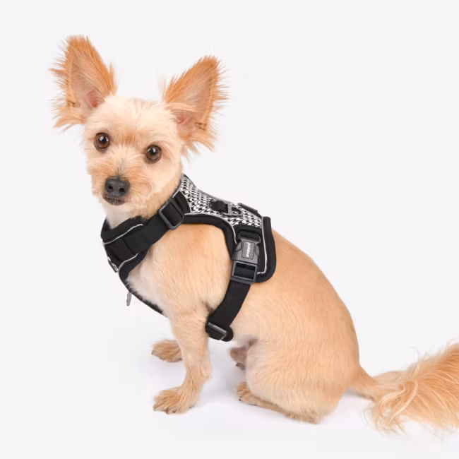 Puppia Conall Dog Harness H Sort/Black