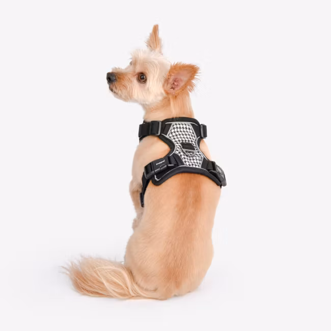 Puppia Conall Dog Harness H Sort/Black