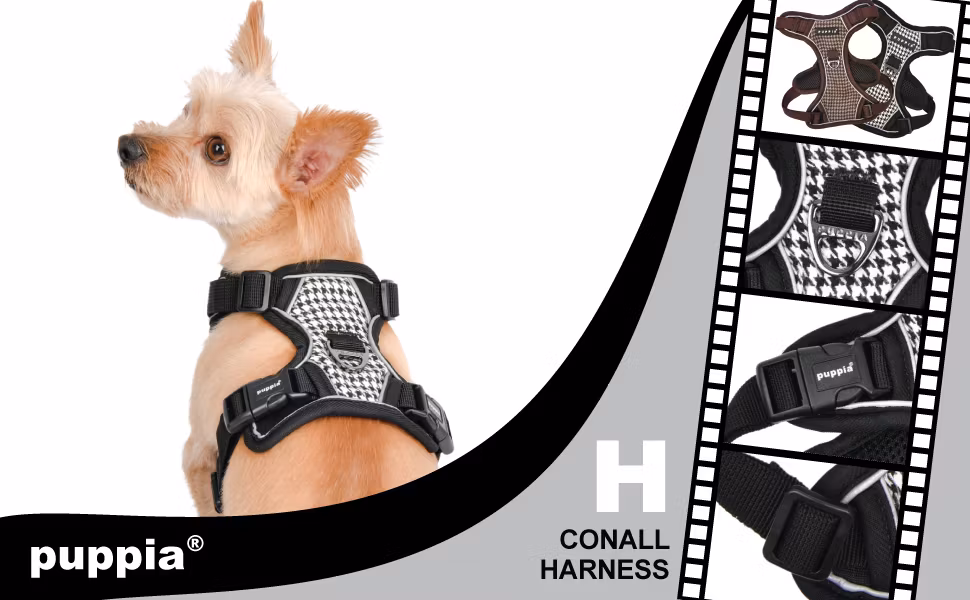 Puppia Conall Dog Harness H Brown/Brun