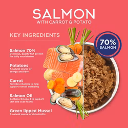 F4D Salmon with Carrot & Potato 395g