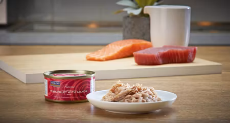 F4C Cats Wet Tuna Salmon 70 g