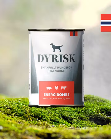 Dyrisk Energibombe Boks