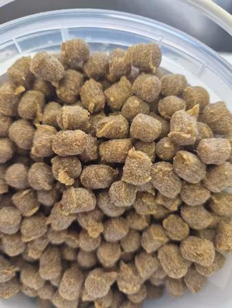 Dyrisk Godbit And 300g