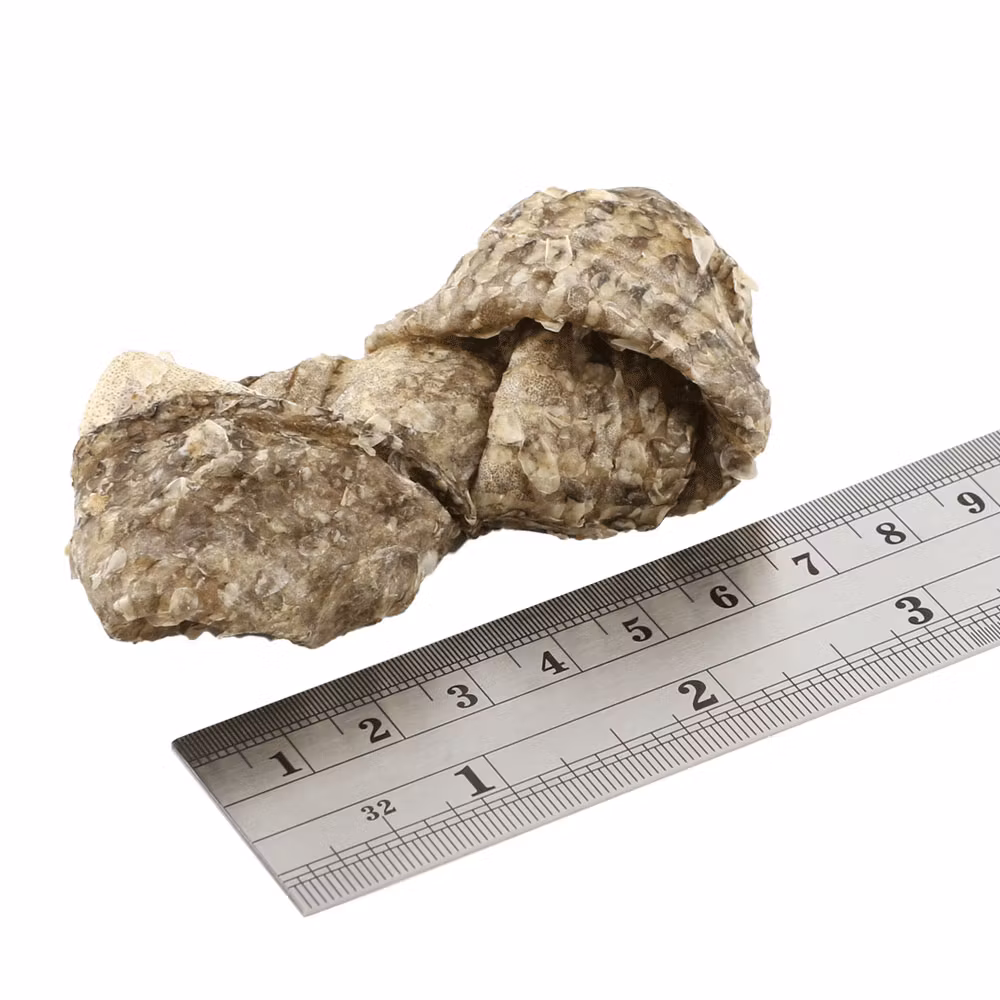 F4D Jerky Fish Knots 100 g