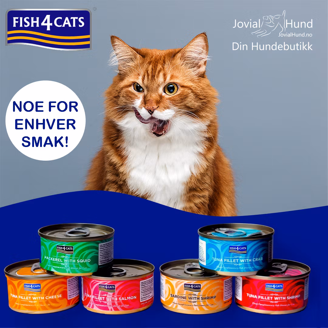 F4C Cats Wet Tuna Salmon 70 g