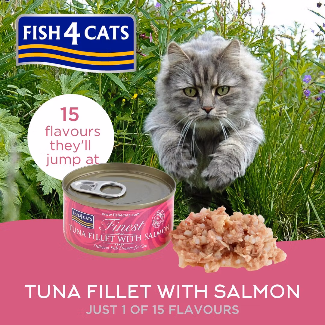 F4C Cats Wet Tuna Salmon 70 g