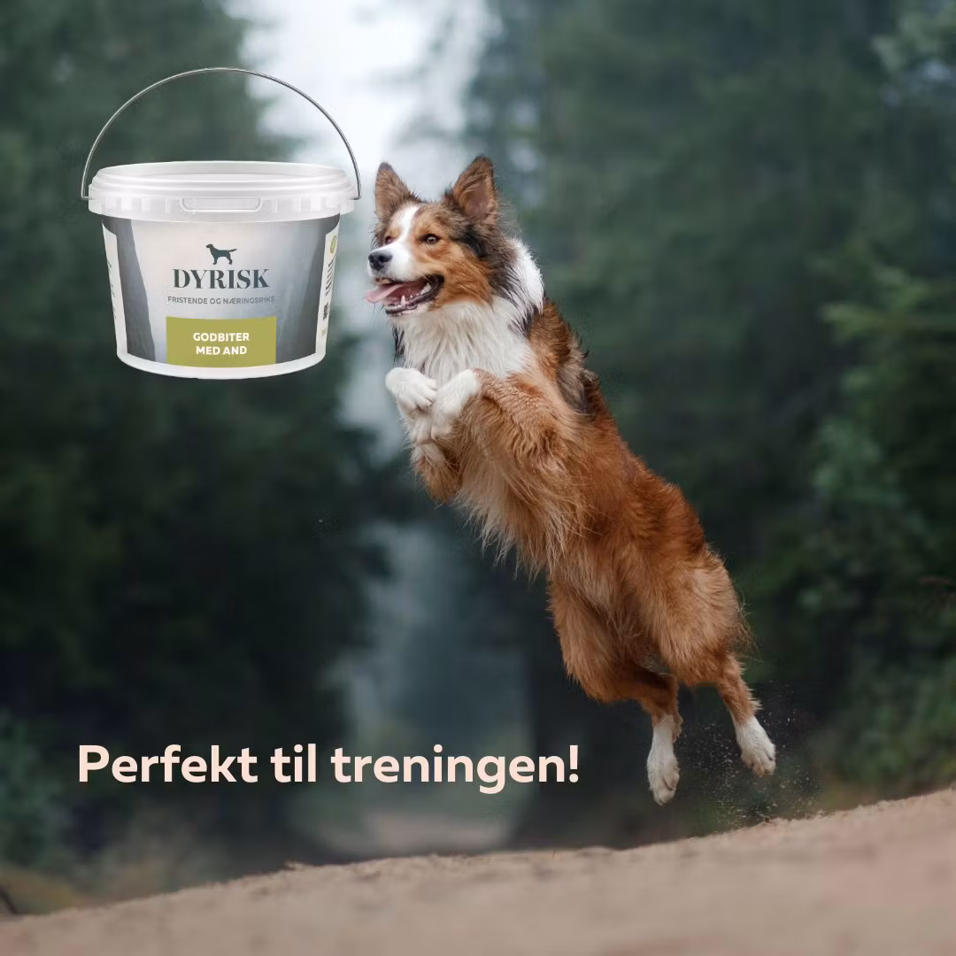 Dyrisk Godbit And 300g