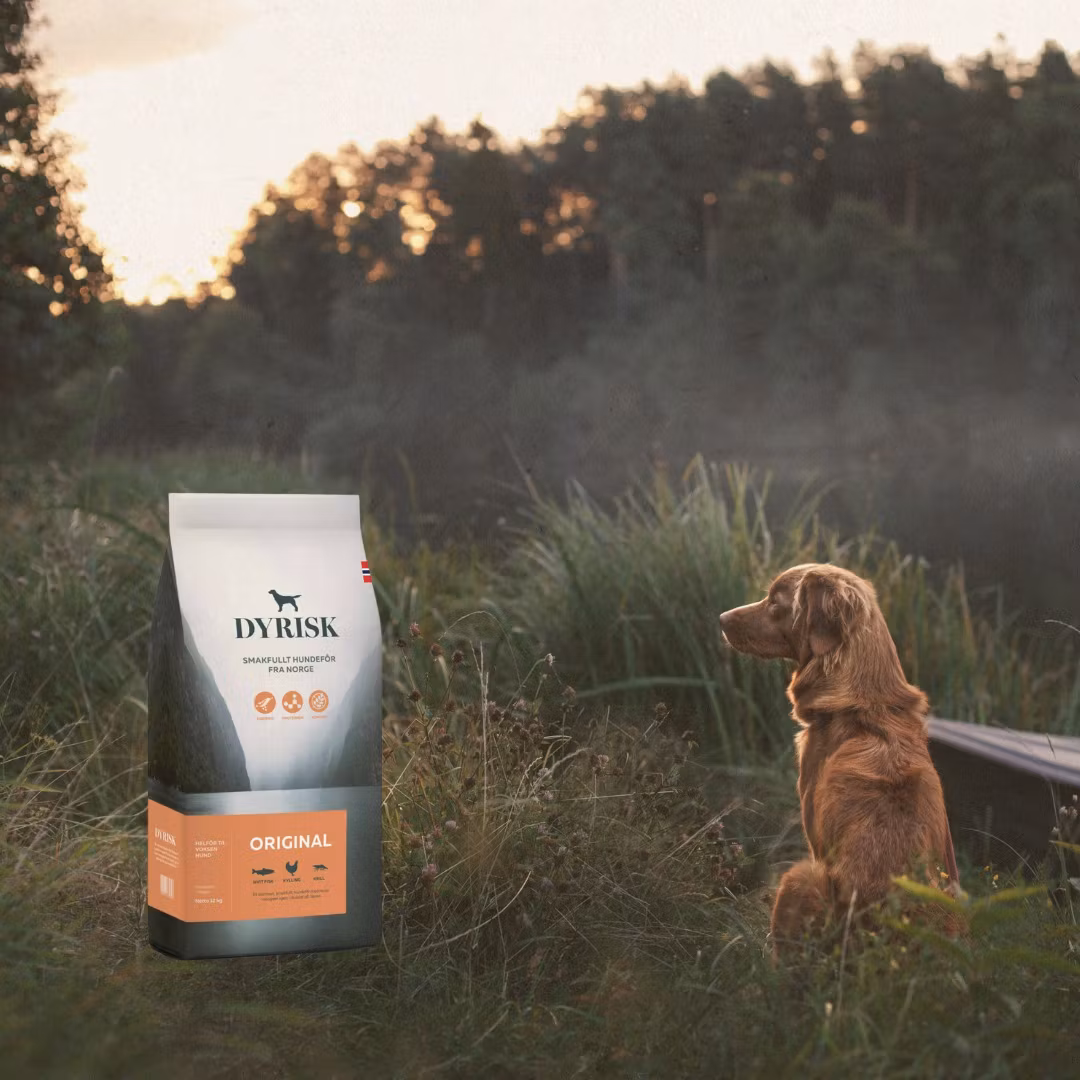 Dyrisk Voksen Original