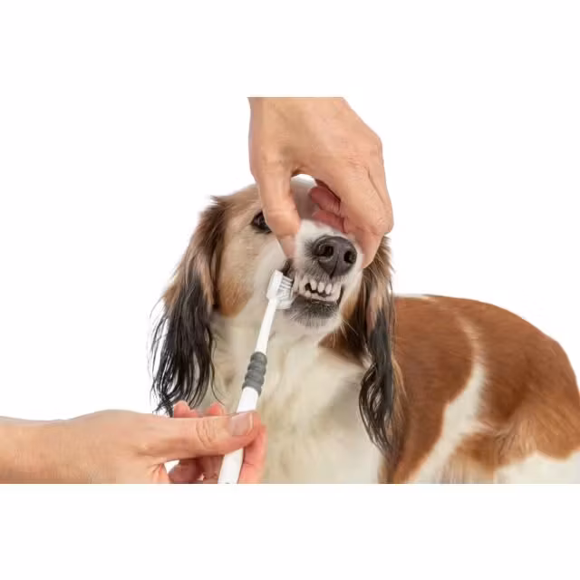 Trixie Tannbørste 3 Hodet 18cm