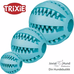 Trixie Dentafun Ball M/Mint