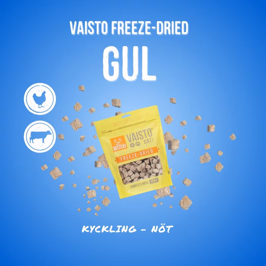 MUSH Vaisto Gul Katt Kylling-Storfe Frysetørket 250g - Bestillingsvare!