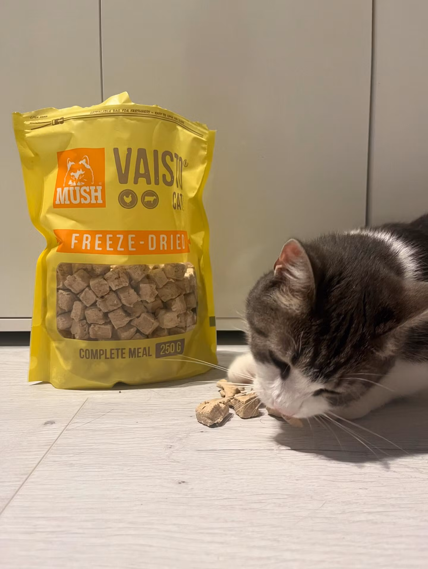 MUSH Vaisto Gul Katt Kylling-Storfe Frysetørket 250g - Bestillingsvare!