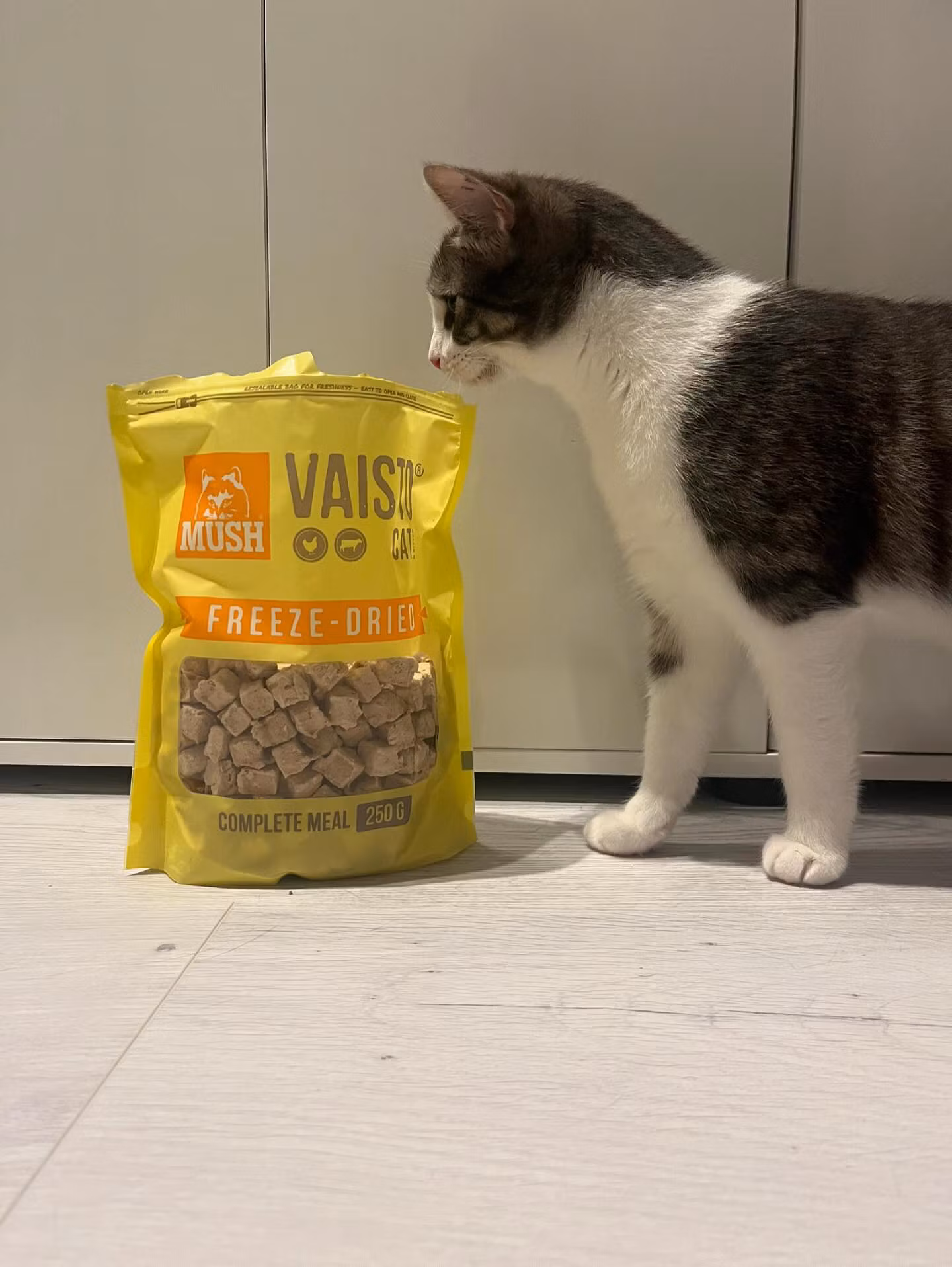 MUSH Vaisto Gul Katt Kylling-Storfe Frysetørket 250g - Bestillingsvare!