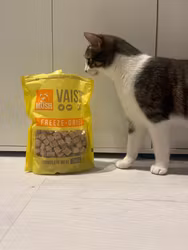 MUSH Vaisto Gul Katt Kylling-Storfe Frysetørket 250g - Bestillingsvare!