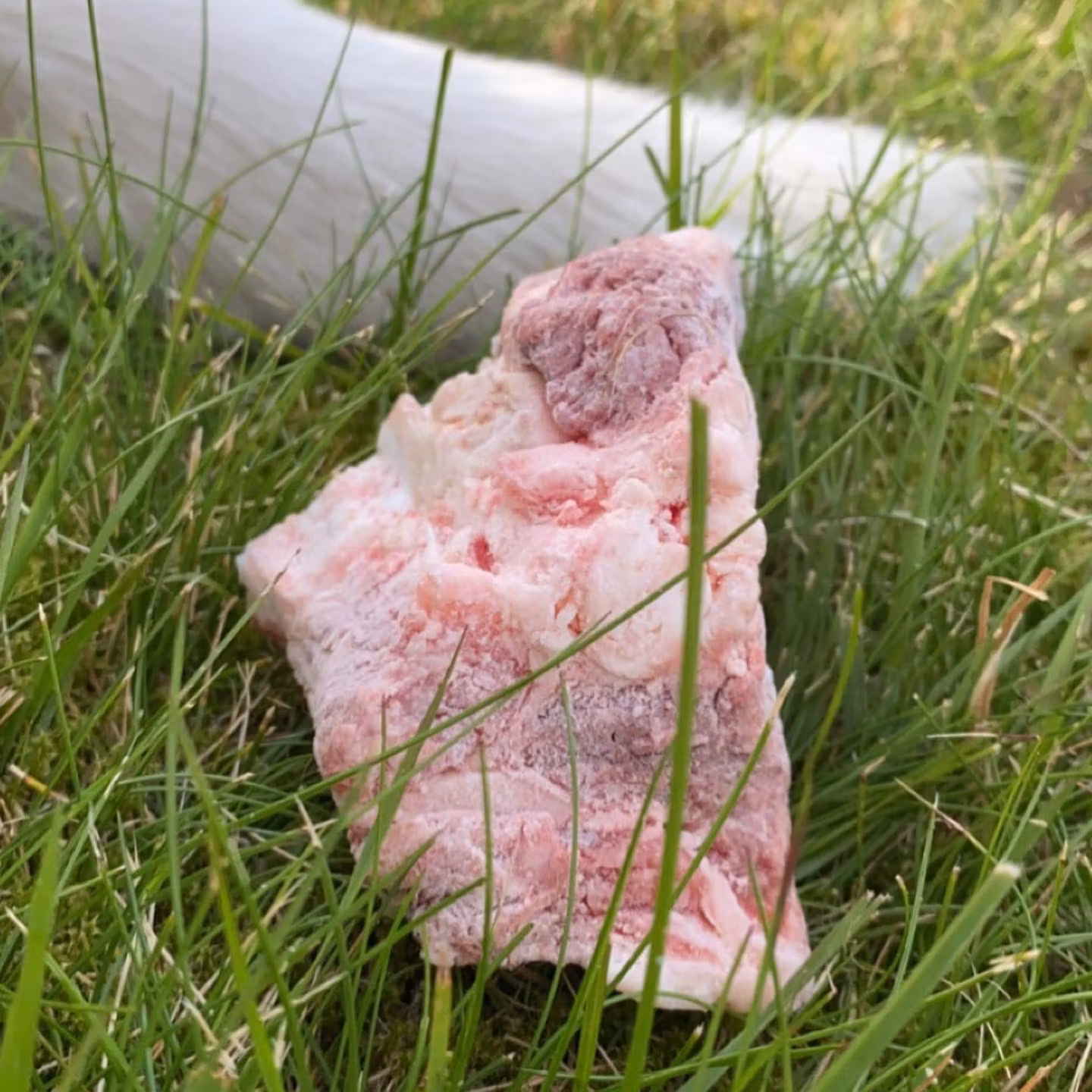 MUSH Basic® Okse Bruskben 800 g