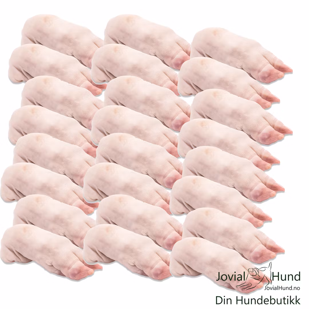 Provit Griselabber 10 kg Eske FR