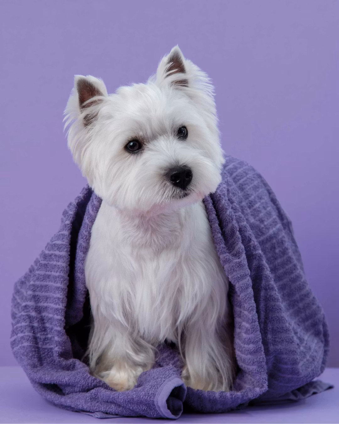 Yuup! White Coats Kit