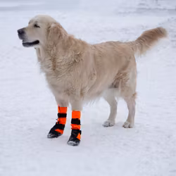 Finnero Sulo Beskyttelsessokk 2pk