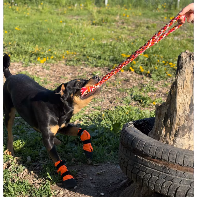 Finnero Sulo Beskyttelsessokk 2pk