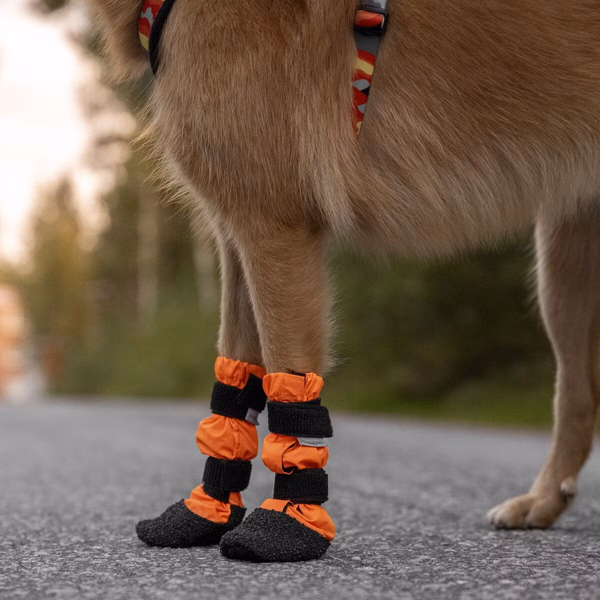 Finnero Sulo Beskyttelsessokk 2pk