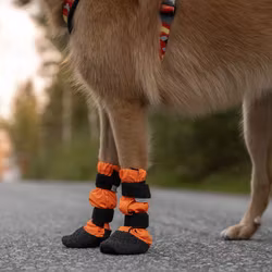 Finnero Sulo Beskyttelsessokk 2pk