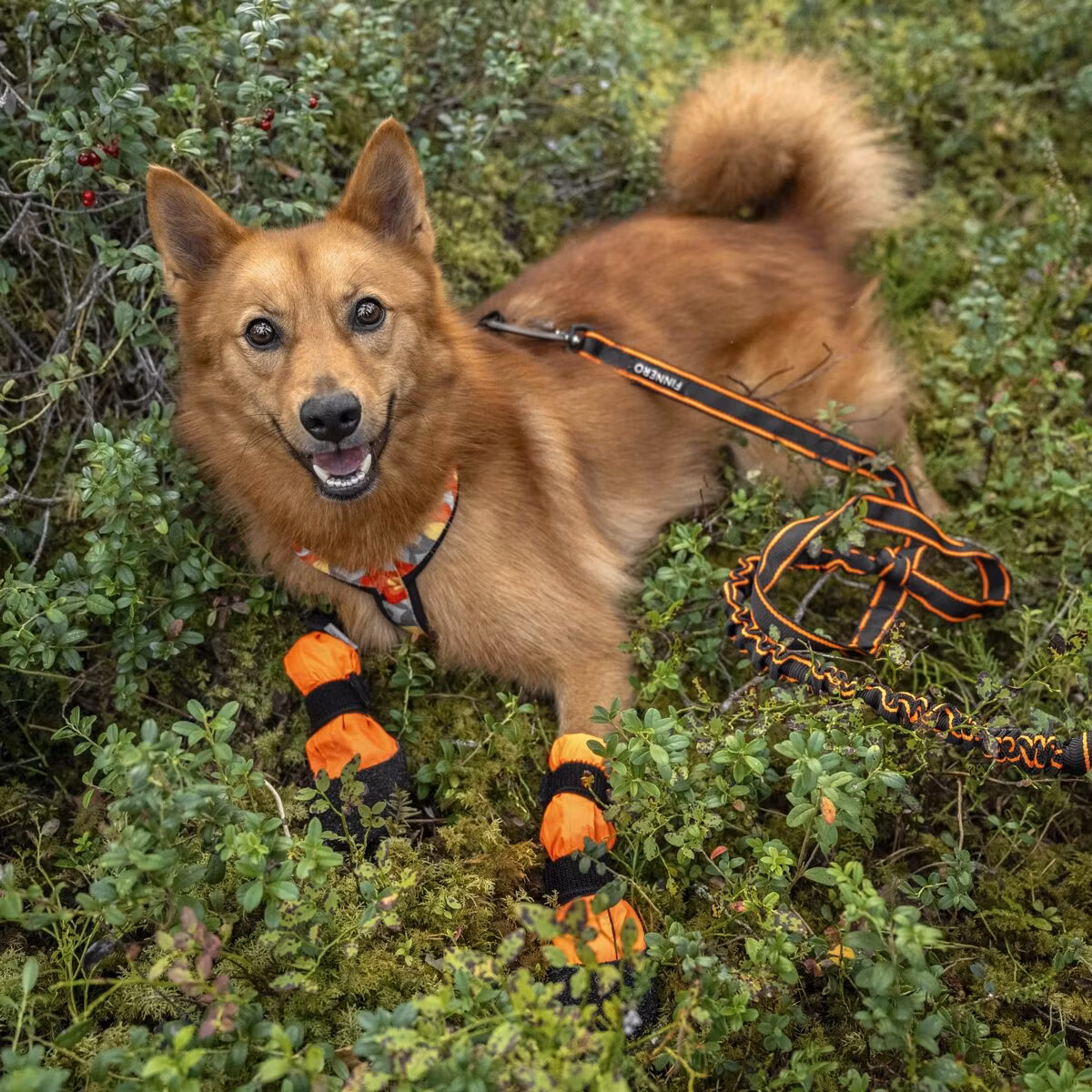 Finnero Sulo Beskyttelsessokk 2pk