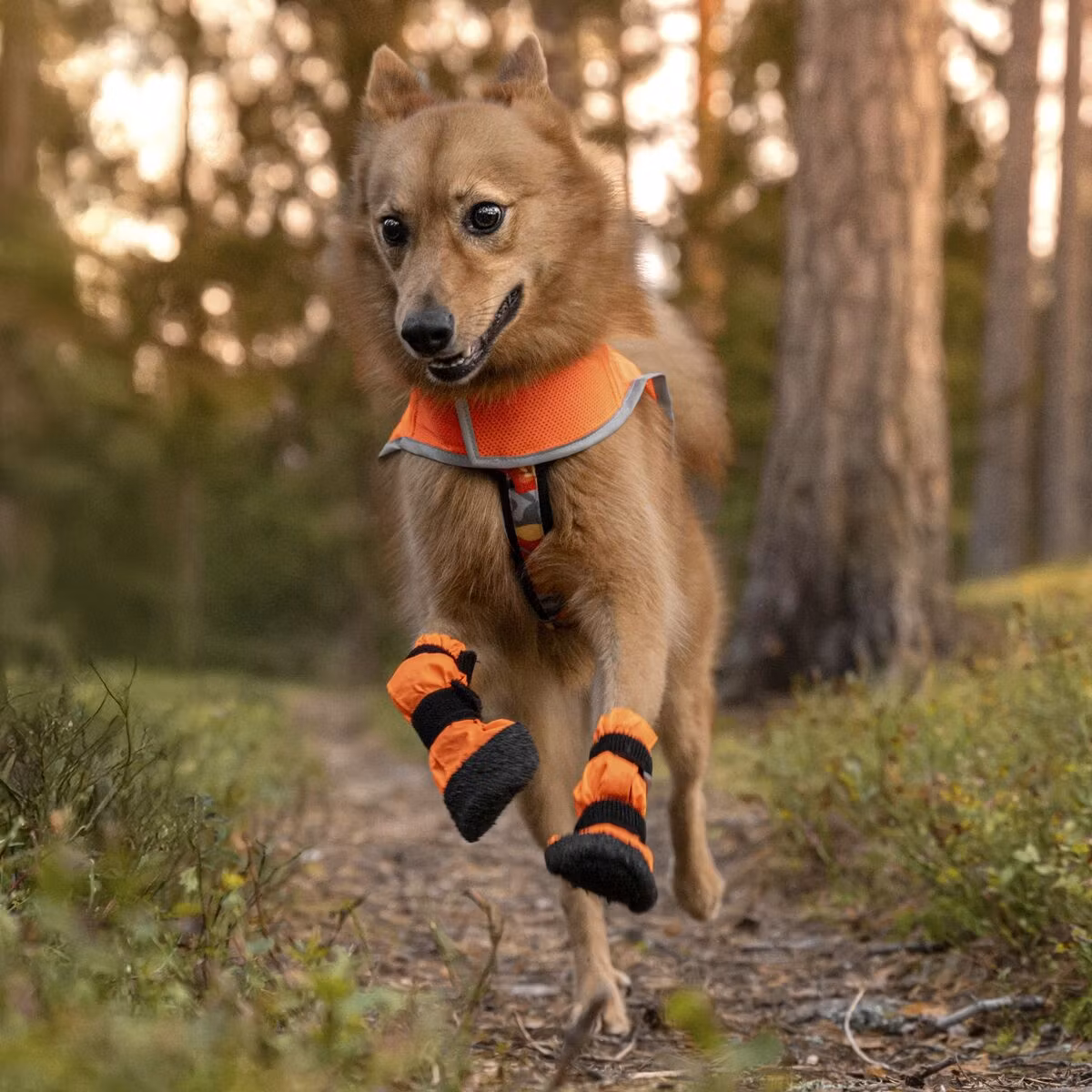 Finnero Sulo Beskyttelsessokk 2pk