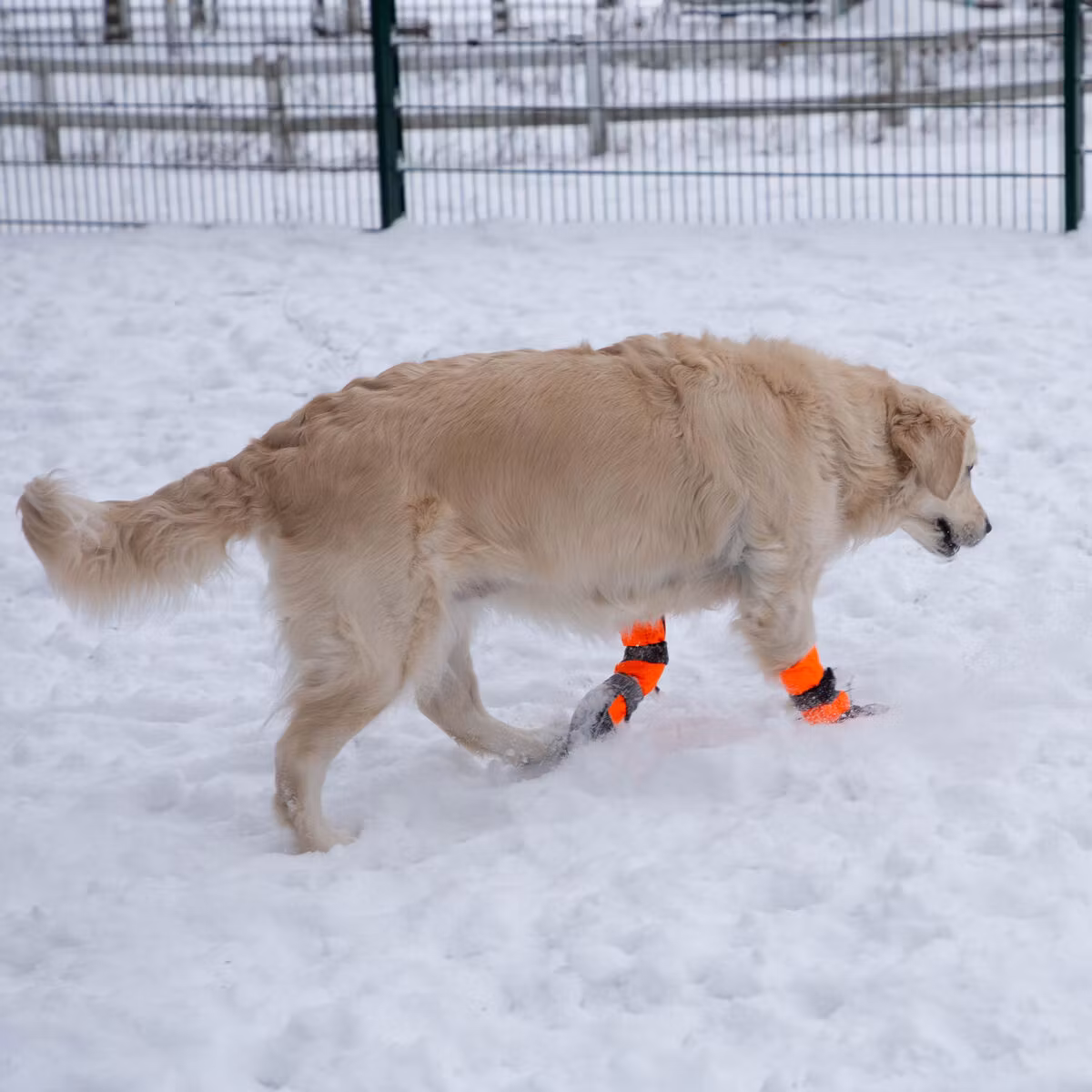 Finnero Sulo Beskyttelsessokk 2pk